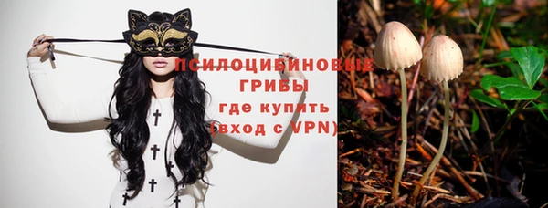 spice Верея