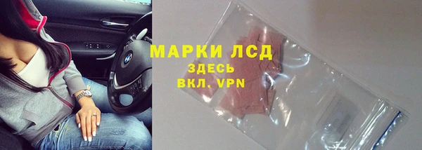 spice Верея