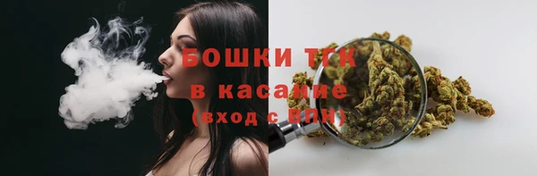 spice Верея