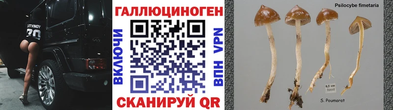 Купить закладки  Мглин  Галлюциногенные грибы ЛСД 