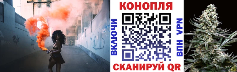 Купить где  Мглин  Бошки Шишки планчик 